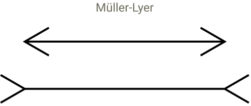 visual-illusion-screenshot-763